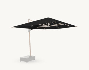 Poszycie parasola Egina