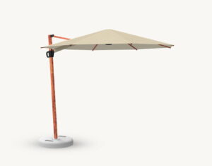 Parasol Balerina